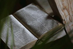 Bible
